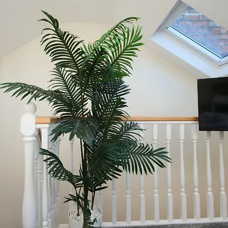 59 Moss - Close To The Centre Tatil Evi