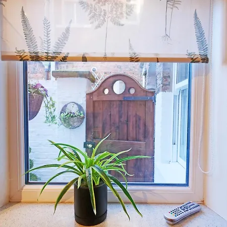 59 Moss - Close To The Centre Tatil Evi *