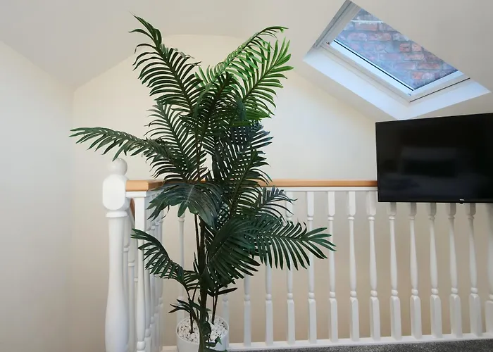 59 Moss - Close To The Centre Casa vacanze