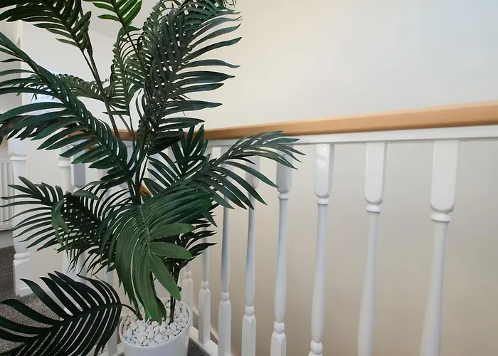 Casa vacanze 59 Moss - Close To The Centre